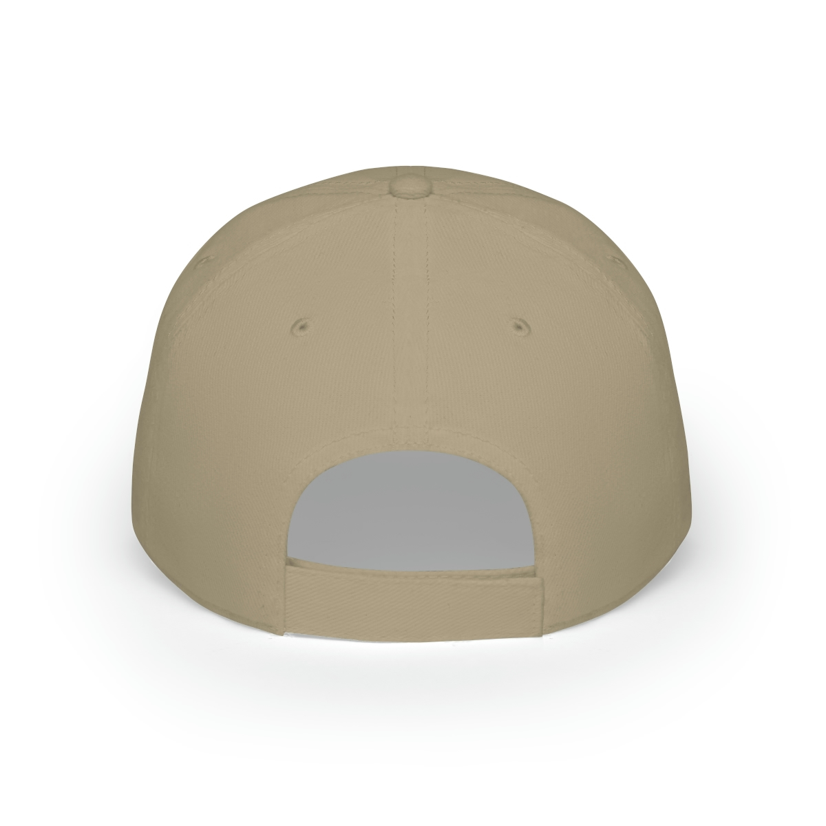 Logo Low Profile Baseball Cap - St. Paul Fish Company